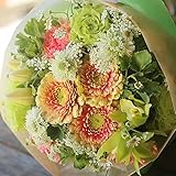 【 クール便 】 花束 生花 ギフト Mサイズ （ ホワイト グリーン 系 ） 大臣賞受賞 デザイナー お任せ花束