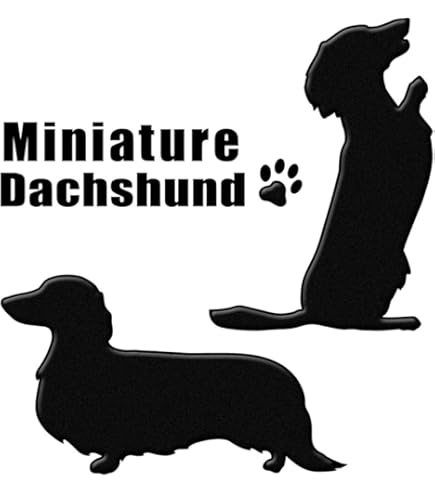 dlxロックドン　標識貼る　犬二匹付き Amazon.co.jp: 犬 蒔絵シール ステッカー【LOVE DOG ダックスフンド