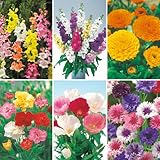 タキイ種苗(Takii Shubyo) 花タネセット FKU150SET