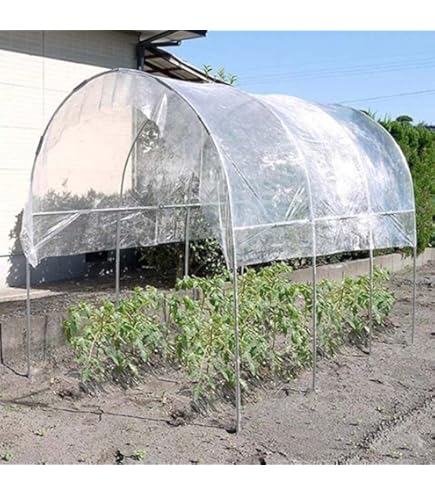 Amazon.co.jp: 南榮工業(Nan-a Corporation) 雨よけハウス 1畝用