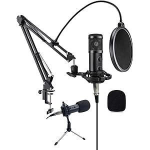 AnXX コンデンサーマイク USB XLR PC マイク プロ仕様 エコー機能付き 単一指向性 マイクスタンド マイク…