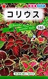 トーホク コリウス 花 0.2ml
