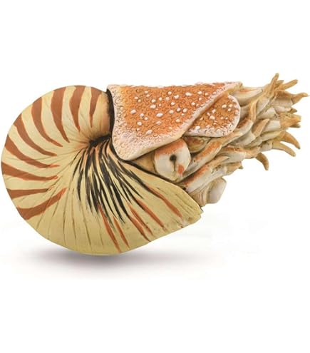 ハンドメイド　41cmアジアアロワナ　フィギュア　レプリカ　熱帯魚 Amazon | ハンドメイド 40cmアロワナ フィギュア レプリカ 熱帯魚 模型