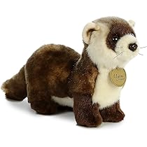 Aurora World(オーロラワールド) Miyoni Sea Otter ラッコ ぬいぐるみ [並行輸入品] Amazon.co.jp: Aurora World Miyoni Sea Otter Plush Gift Set