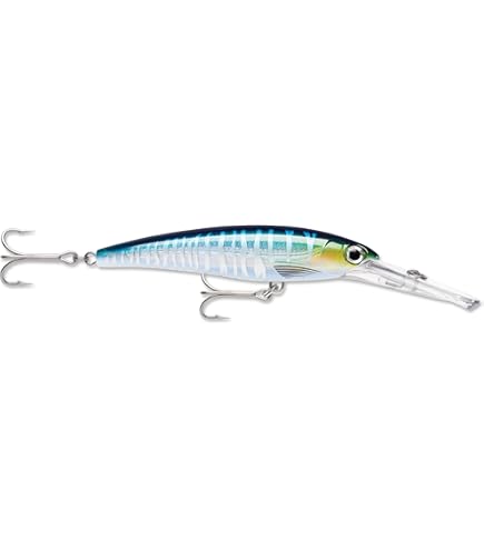 Amazon.co.jp: Rapala(ラパラ) ミノー カウントダウン マグナム 11cm