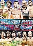 DRAGON GATE 2013�g�~�̐w�h