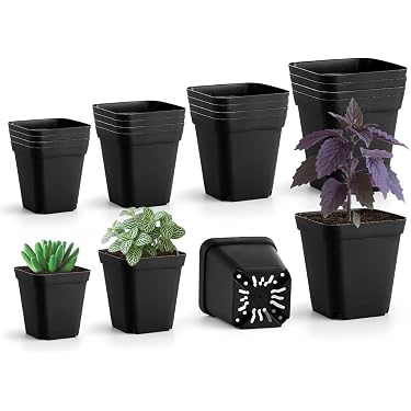 Amazon.co.jp ほしい物ランキング: 育苗ポット で、ほしい物リストと