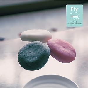 Fly (in the blue shirt remix) [feat. 79 & 中村佳穂]