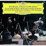 �h���H���U�[�N:�`�F�����t�� �`���C�R�t�X�L�[:���R�R�̎��ɂ��ϑt��