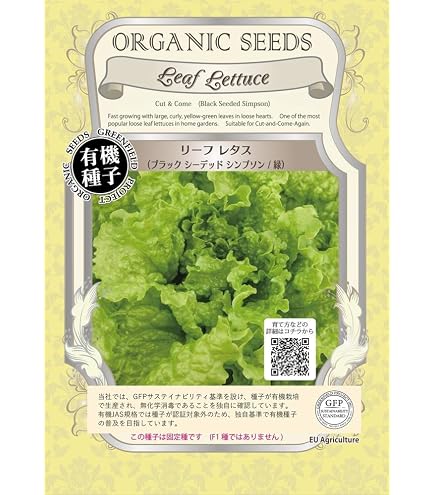 Amazon | 暑さに強いリーフレタス(スーパーグリーン) | 野菜