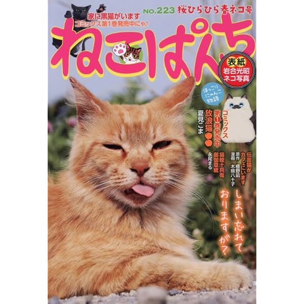ねこぱんち ネコと私の夏物語号 (にゃんCOMI) | アンソロジー |本