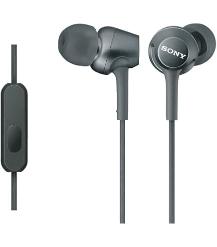 Amazon.co.jp: ソニー SONY イヤホン XBA-C10IP : カナル型 バランスド