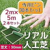 人工芝 C型 芝丈30mm 2m×5m 2本セット 押さえピン30本付 お得セット これでお庭をリニューアル!!