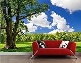 Sproud 3 D リビングルームの Tv の背景の壁の壁画壁紙青空背景のソファーで牧歌的な風景の壁紙 Qiangbu 250 Cmx 175 Cm