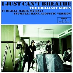 It Really Makes My Day�I / the brilliant green