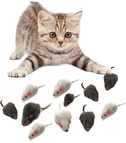 Amazon.co.jp: コウペンちゃんねこじゃらしを持っておでかけマスコット