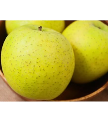 Amazon.co.jp: 青森県産 王林 糖度13度保証のりんごちゃん Lサイズ6個