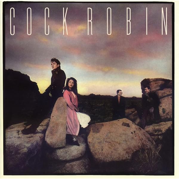 クックロビン♫ cocklobin(クックロビン)/『here』 CD [zgc-010] - CROSS CAT