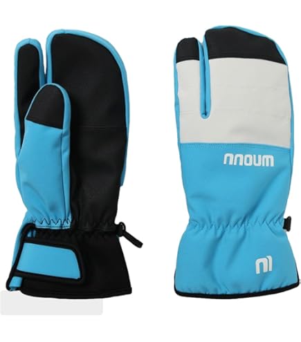 Amazon | スキー スノーボード ゴアテックス グローブ AFDICEGEAR