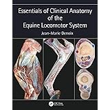 Essentials of Clinical Anatomy of the Equine Locomotor System