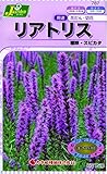 カネコ種苗 草花タネ787 リアトリス 穂咲 10袋セット