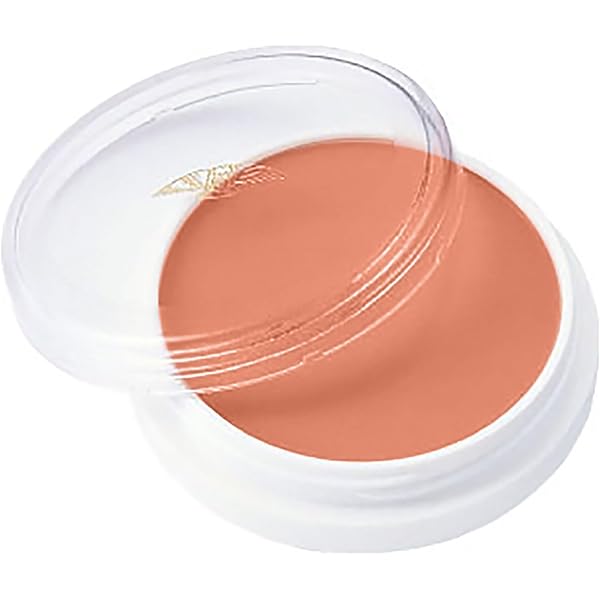 Amazon | 三善 グリースペイント（どうらん・ドーラン） 50 | 三善