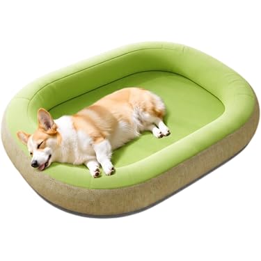 Amazon.co.jp 最新リリース: 犬用ベッド・クッション の新着ランキング