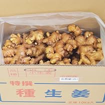 Amazon.co.jp: 種生姜 黄金生姜 種用 10kg (中国産近江生姜) : 食品