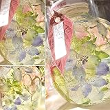 まるっと リンゴのハーバリウム Honey Pie シリーズ JJ (ジェイジェイ) クリスマス 母の日 お誕生日