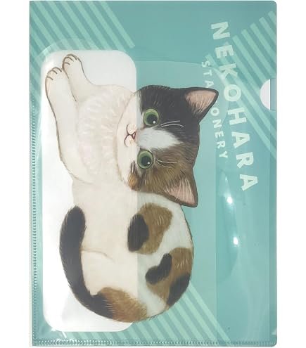 Amazon.co.jp: Ceramic Indigo A4 Clear File, Set of 4 Patterns, 3