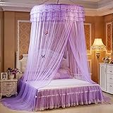 ANPI Mosquito Net、ラウンドMosquito Nets Luxuryプリンセス田園レースベッドキャノピーNet Crib光バタフライ パープル AP275