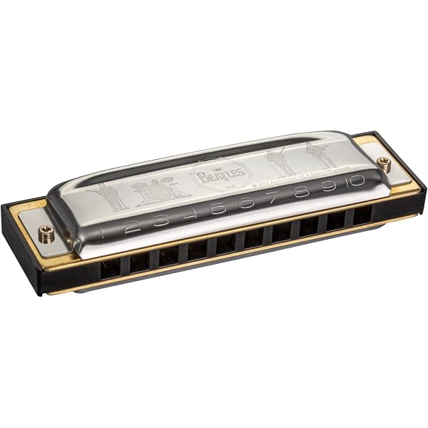 Amazon.co.jp: HOHNER Meister Klasse 7565/56 クロマチックハーモニカ