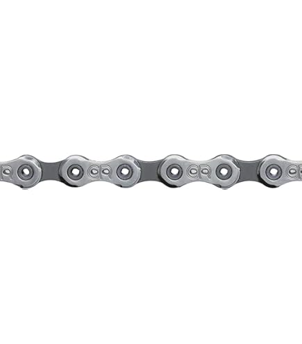 Amazon | campagnolo(フリガナ: カンパニョーロ) VELOCE 13-26T UD10S