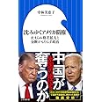沈みゆくアメリカ覇権: 止まらぬ格差拡大と分断がもたらす政治 (小学館新書)