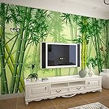 部屋には、ベッドルームのテレビの背景竹の森鵜呑みにする壁紙の壁画の座っている