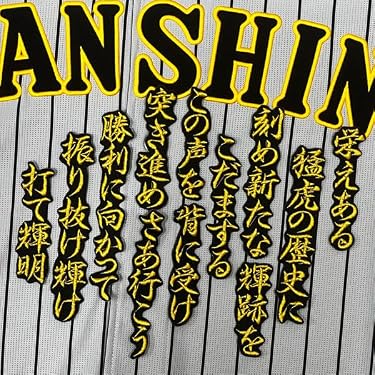 Amazon.co.jp 最新リリース: ワッペン(サッカーチーム・ファングッズ