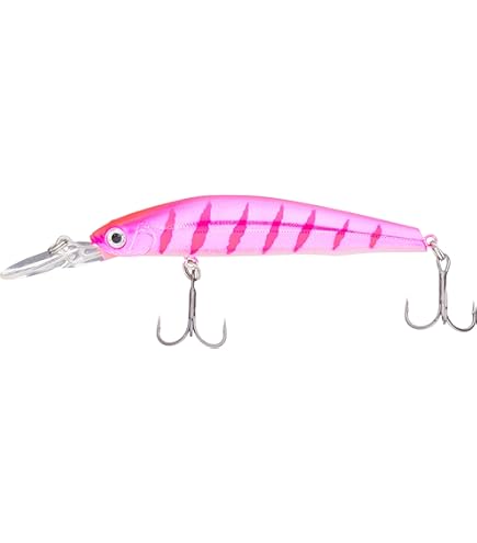 Amazon.co.jp: バスデイ(Bassday) HERO'S シュガー2/3ディープ SG85F