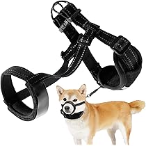 飼犬手噛 mqdefault.jpg
