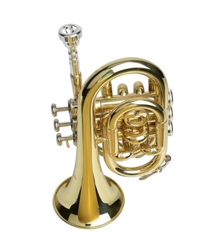 Amazon | YAMAHA YCR-2610SIII E♭ コルネット (ヤマハ YCR2610SIII