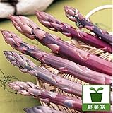 アスパラガス：パープルジャンボ(紫アスパラ）養生株3.5号ポット4株セット[家庭菜園に！]