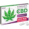 EUPHORIA］CBDガム – ブラックカラント（カシス）味｜100mg/12個入り｜休憩用 くつろぎ 集中 リラックス｜シュガーレス ヴィーガン チェコ産