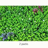 フェイクグリーンマットNHsunray 人工植物 フェンス　プラスチックヘッジ 緑 壁掛 壁面緑化グリーンパネル 家の庭 人工観葉植物 軽量 どの壁でも簡単に設置 ベランダの装飾 60x40cm/枚 