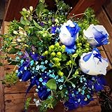 フローリストワタリ　【生花】青バラと染かすみ草のフラワーケーキ(ブルー、グリーン系)　フラワーギフト　プレゼント 誕生日　発表会　お祝い