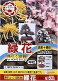日清 緑花中粒 500g