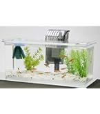 Amazon | テトラ (Tetra) ガラス テトラ サイレントフレックスセット