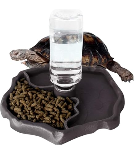 Amazon | 爬虫類 水入れ 餌入れ 食器 餌 自動給水器 エサ入れ エサ皿
