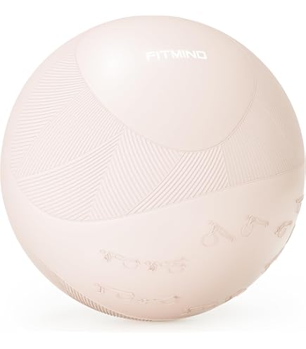 バランスボール ピラティス ボール 20cm 90g ピラティスボール200 赤 XYSTUS