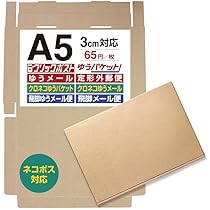 発送用 400枚A4 ダンボール 箱 ★厚さ29mm 宅配160サイズ】400mm角、深さ750mmの正方形ダンボール箱
