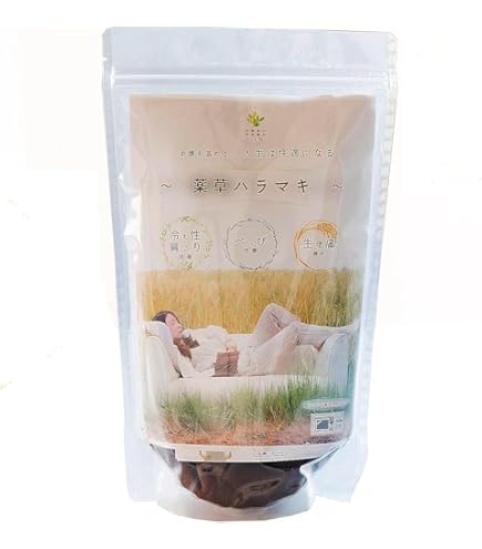 Amazon | 楽草ホットパット 大・Lサイズ | 楽草ホットパット | 温熱ピロー