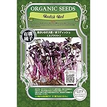 Amazon.co.jp: スプラウト 種 サンゴかいわれ大根 小袋（約35ml